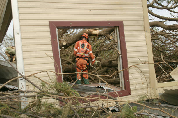 Best Tree and Shrub Care  in Beloit, WI