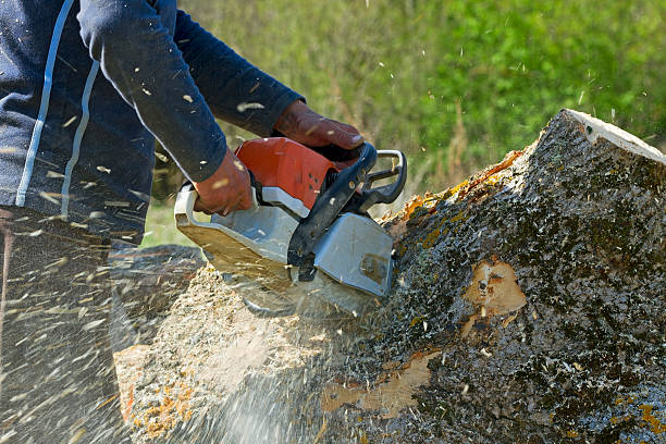 Best Aeration Services  in Beloit, WI